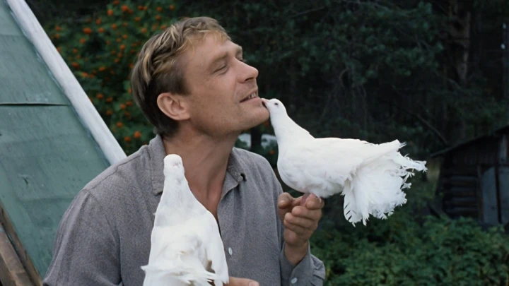 Киноляпы в Любовь и голуби: Исчезающая лопата и галстук из будущего. Детали, которые вы могли не заметить