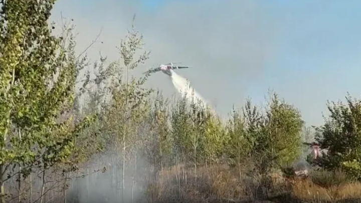 Площадь лесного пожара в Тольятти увеличилась в десять раз