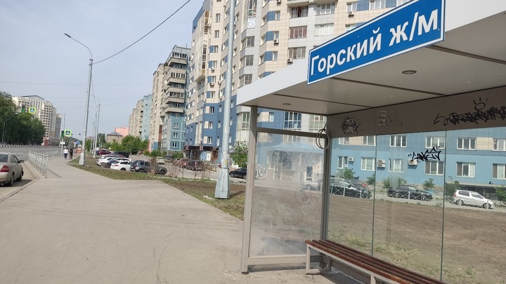 Новосибирцы жалуются на компанию детей, хулиганящих в Горском микрорайоне