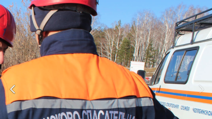 В Челябинской области четверо подростков заблудились ночью в лесу