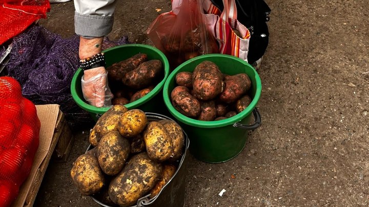 Натуральное, вкусное: в Новосибирске изъяли нелегальную картошку от дяди Вити