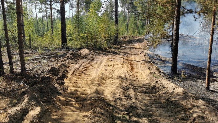 Лесные пожары в Володарском районе локализованы