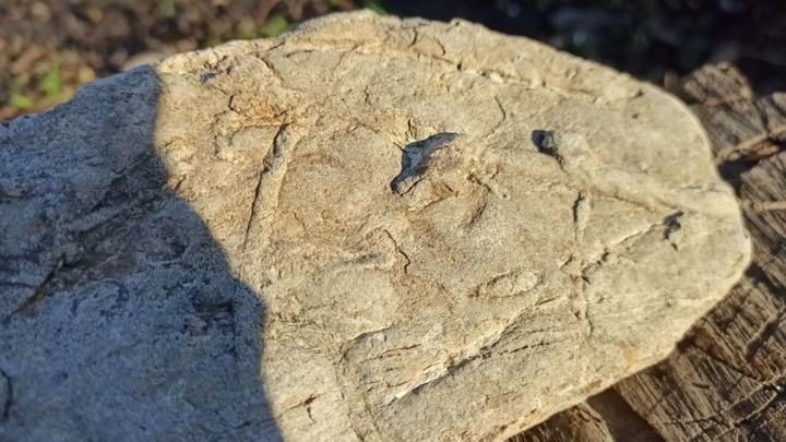 Житель Ленинградского района продаёт слепок ноги древнего человека за 1 млн рублей