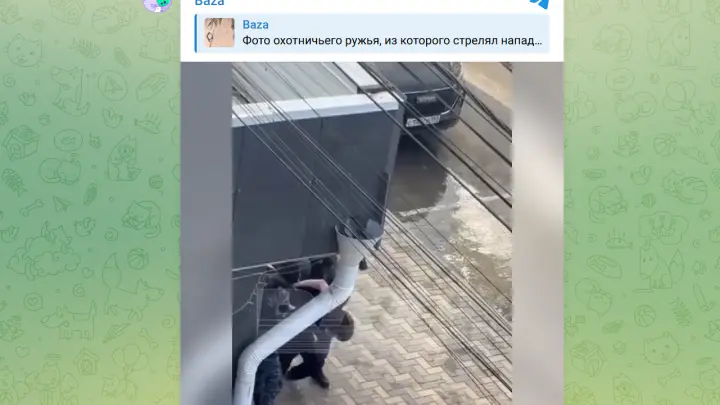 Опубликовано видео задержания стрелявшего у колледжа в Анапе