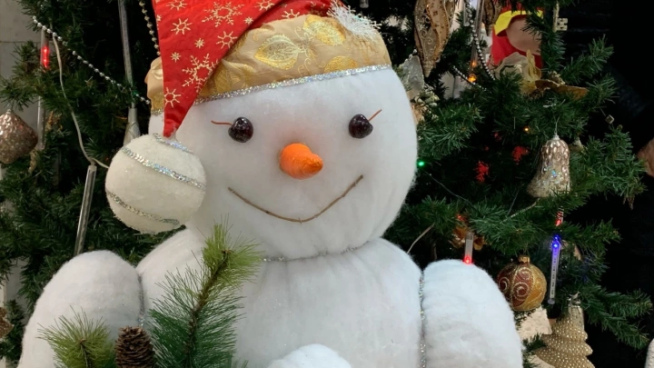 На Украине из‑за военного положения отменили выходные на Рождество и Новый год