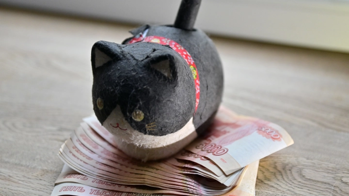 Депутат Нилов рассказал, кто в декабре получит зарплату досрочно