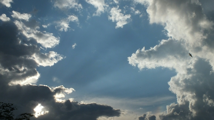 Прогноз погоды в Краснодарском крае на 26-28 ноября: На выходных будет сухо и солнечно