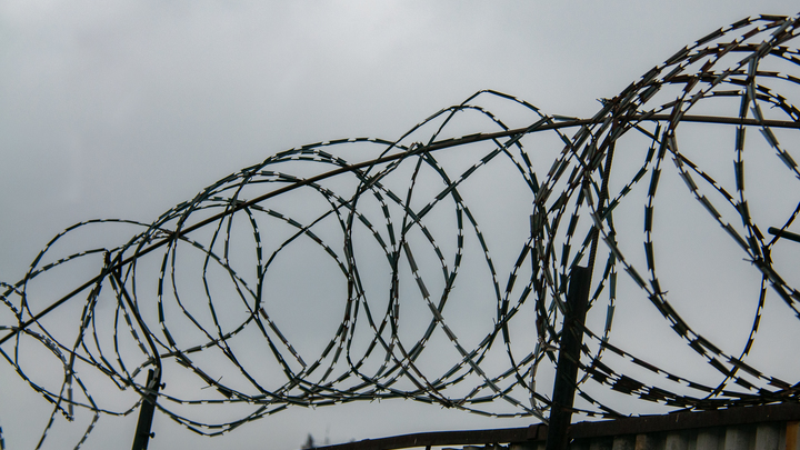 В Сирии задержан планировавший теракты в России главарь ИГИЛ* – ФСБ