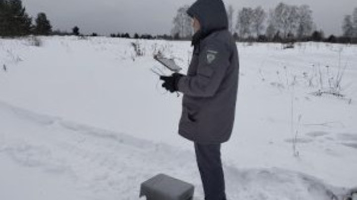 Беспилотники против вредителей: во Владимирской области БПЛА выявляют сорняки