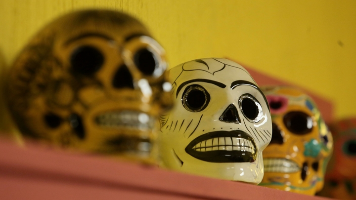 В Новосибирском музее смерти собрались сотни зрителей на лазерное шоу