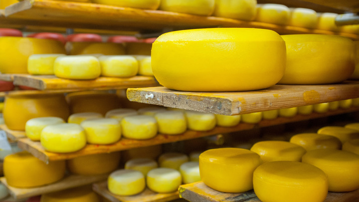 Днепрорудненский сырный завод возобновил работу