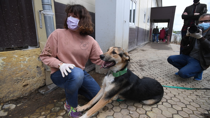 Сдать кровь и высадить дерево: В Москве наступает Время добра