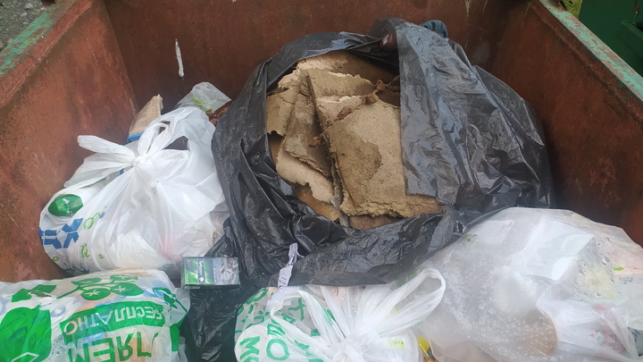 В Новосибирске стали известны претенденты на строительство мусорных полигонов