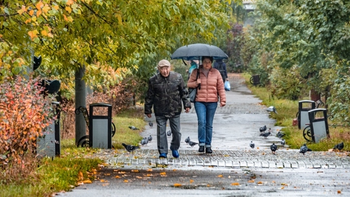 Похолодание ниже нуля и штормовой ветер до 18 метров в секунду ожидаются в Кузбассе 10 октября