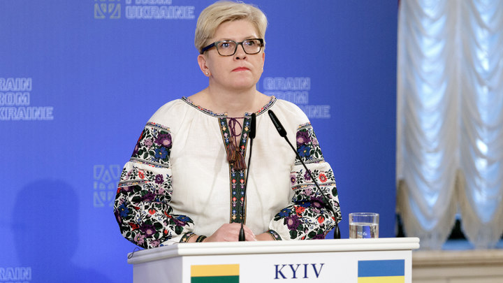 Это был последний пакет помощи? В Литве призвали готовиться к худшему для Украины сценарию