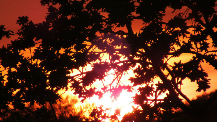 Магнитные бури отменяются: Солнце не тронет метеозависимых в марте Магнитные бури отменяются: Солнце не тронет метеозависимых в марте