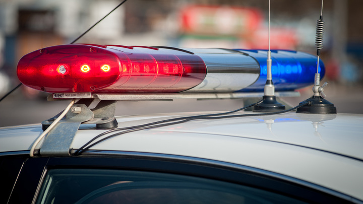 Октагон среди толпы: Вступившийся за Витязей после турнира ММА попенял организаторам