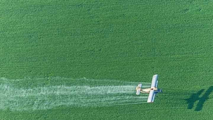 Крушение Ан-2 в Нижегородской области: Один человек выжил чудом