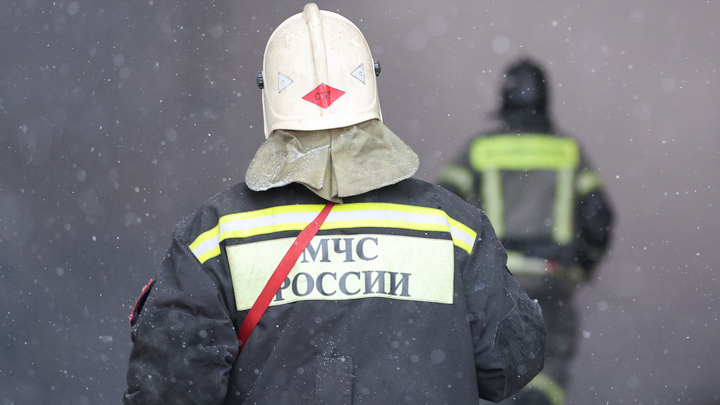 В Крыму пожарные спасли семь кошек из горящего гаража