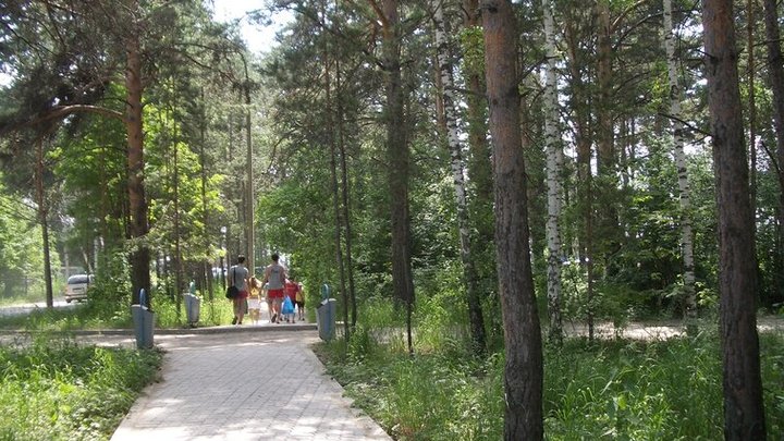 В Новосибирске началось нашествие кусающихся мошек