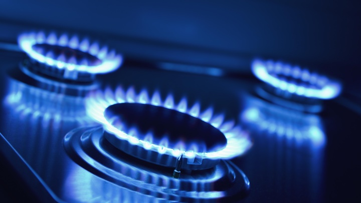 Польша и Болгария ничему не научили: Нидерландам отключат газ