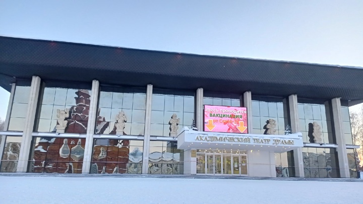 Где в новогодние каникулы привиться от коронавируса и гриппа во Владимире и области