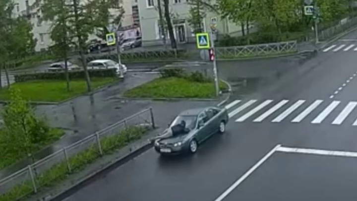 В Красном селе пьяная женщина «прокатила» на капоте своего мужа около 10 километров