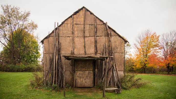 Нового налога на бани не будет. Росреестр успокоил владельцев недвижимости