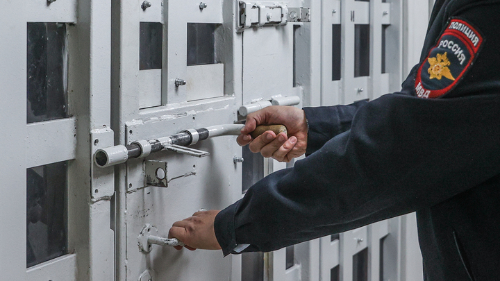 Дело о вымогателях в Telegram: Совместная операция МВД и ФСБ принесла результаты