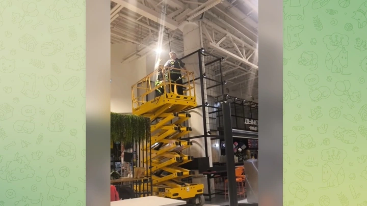 В московском Авиапарке убрали сетки после гибели птиц