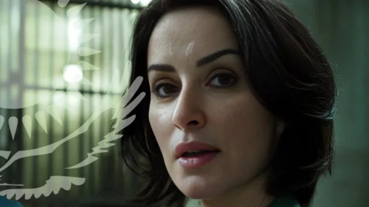 Тина Канделаки - всем нам: Я давно и много зарабатываю