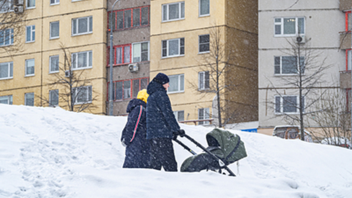 После сильных морозов в Новосибирске резко потеплеет на выходных