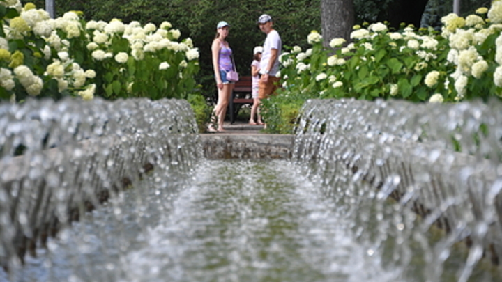 Перепись населения России могут сдвинуть на две недели: Предложены новые даты