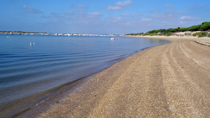 В Новороссийске труп мужчины вынесло на берег возле пансионата