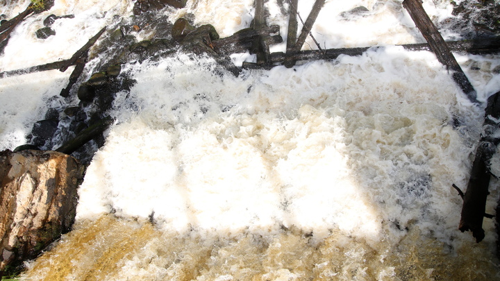 Нечистоты льются прямиком в Неву: авария перекрыла краны и пустила канализацию по другому маршруту