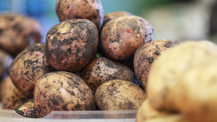 Правильно ли вы готовите картошку? Диетолог объяснил, как это делать с максимальной пользой