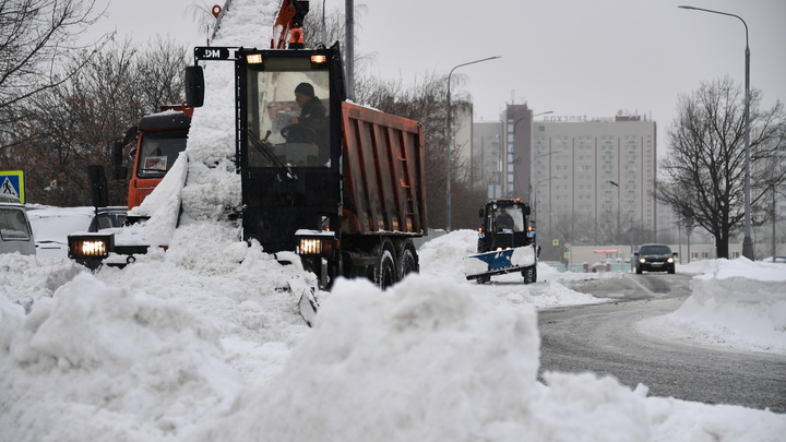 Тепло и снежно: Прогноз погоды в Новосибирске на 22-28 ноября