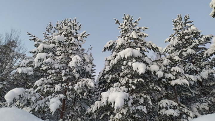 Снег с дождём и шквалистый ветер: в Сочи предупредили о резком ухудшении погоды