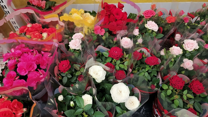 Что подарить женщине на 8 марта: оригинальные идеи для поздравления