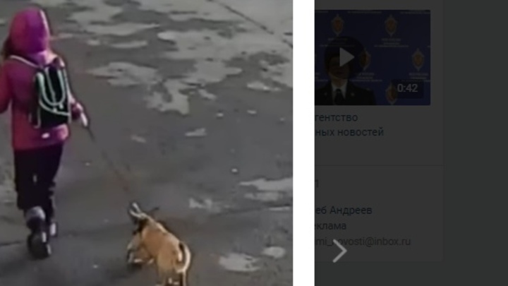 В Челябинске повторно отправили на лечение в психбольницу школьницу, жестоко убившую животных