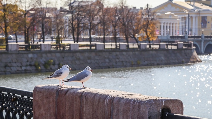 В Челябинске на один день потеплеет, а потом снова похолодает