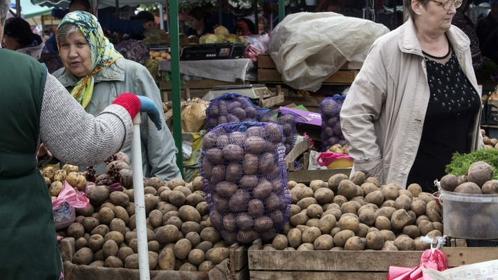 Во Владимире с 8 сентября начнут работать ярмарки выходного дня с продуктами без наценки