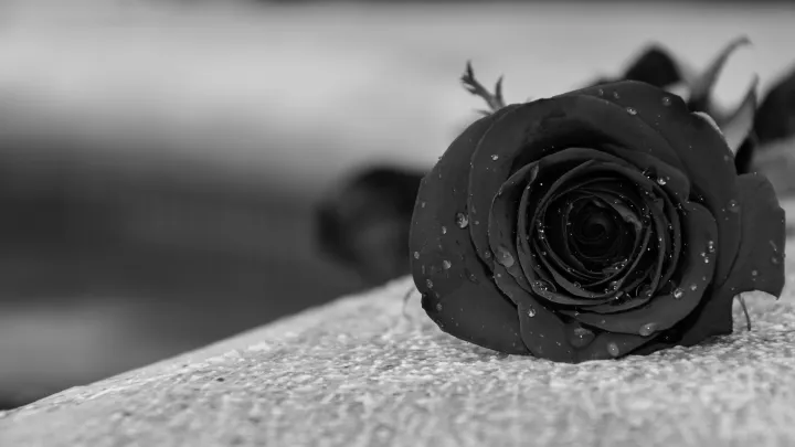 Алентова упала на глазах у публики. Эксперт рассказал, что произошло на самом деле