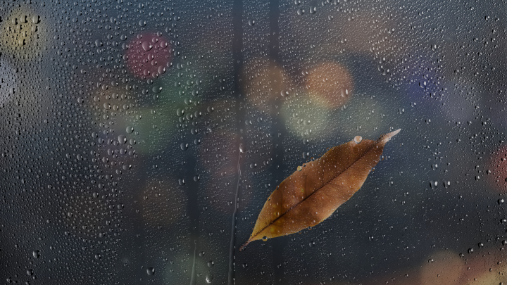 Профессор назвал лучшую домашнюю профилактику болезней: Чем раньше, тем лучше