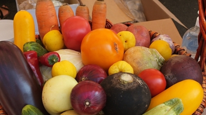 ДНР установят закупочные цены на сельхозпродукцию из Запорожья и Херсонщины