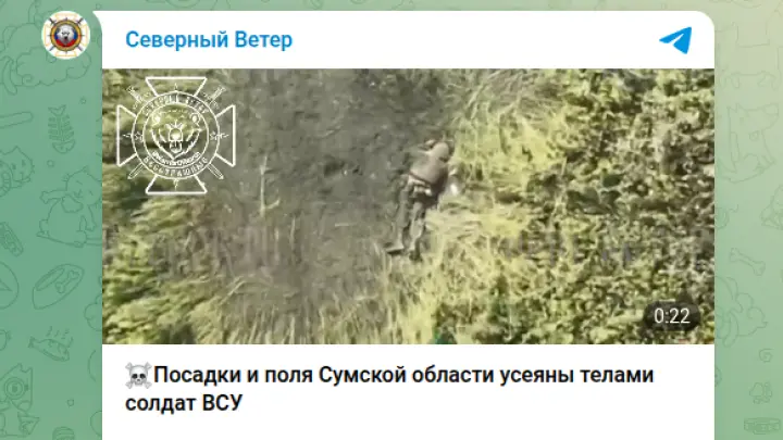 В Сумской области сняли на видео заваленные телами солдат ВСУ поля