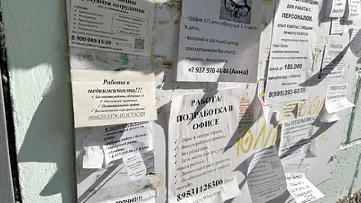 МВД России раскрыли способ кражи личных данных и средств через ложные сайты