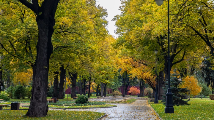 Лето возвращается на денёк-другой? Прогноз погоды на следующую неделю приятно удивил москвичей