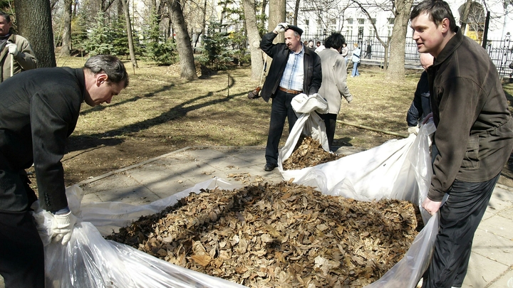 9 октября во Владимире пройдет осенний городской субботник