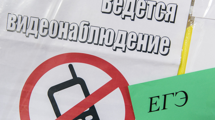 В Госдуме проверят историю с раздеванием школьниц в Воронеже перед ЕГЭ